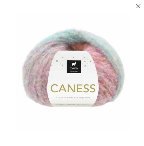 Caness
